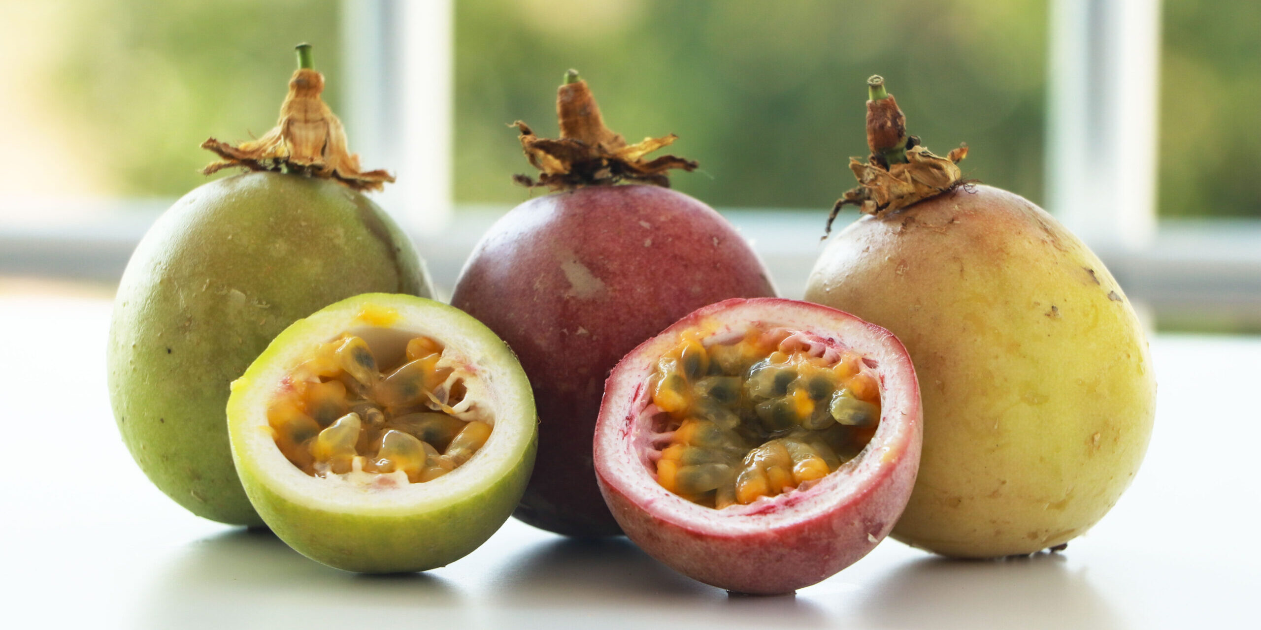 dost-tropik-passiflora5413