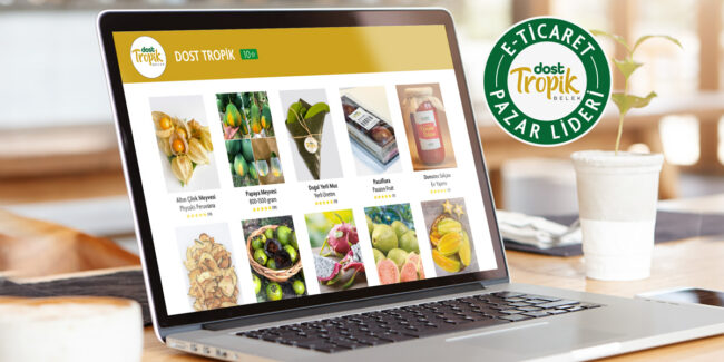 e-ticaret-pazarlideri-dosttropik-2