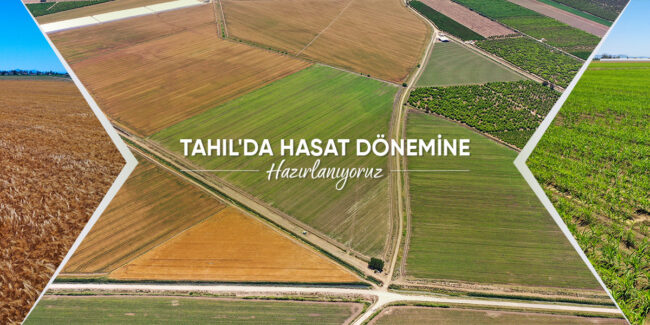 tahil-hasat-donemi-dost-ziraat-haber